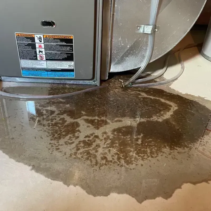 Appliance Leak Cleanup in Shawneetown, IL